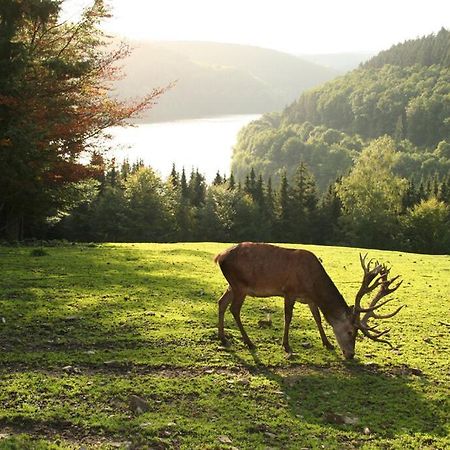Moderne Ferienwohnung Im Herzen Des Nationalparks Hellenthal Εξωτερικό φωτογραφία